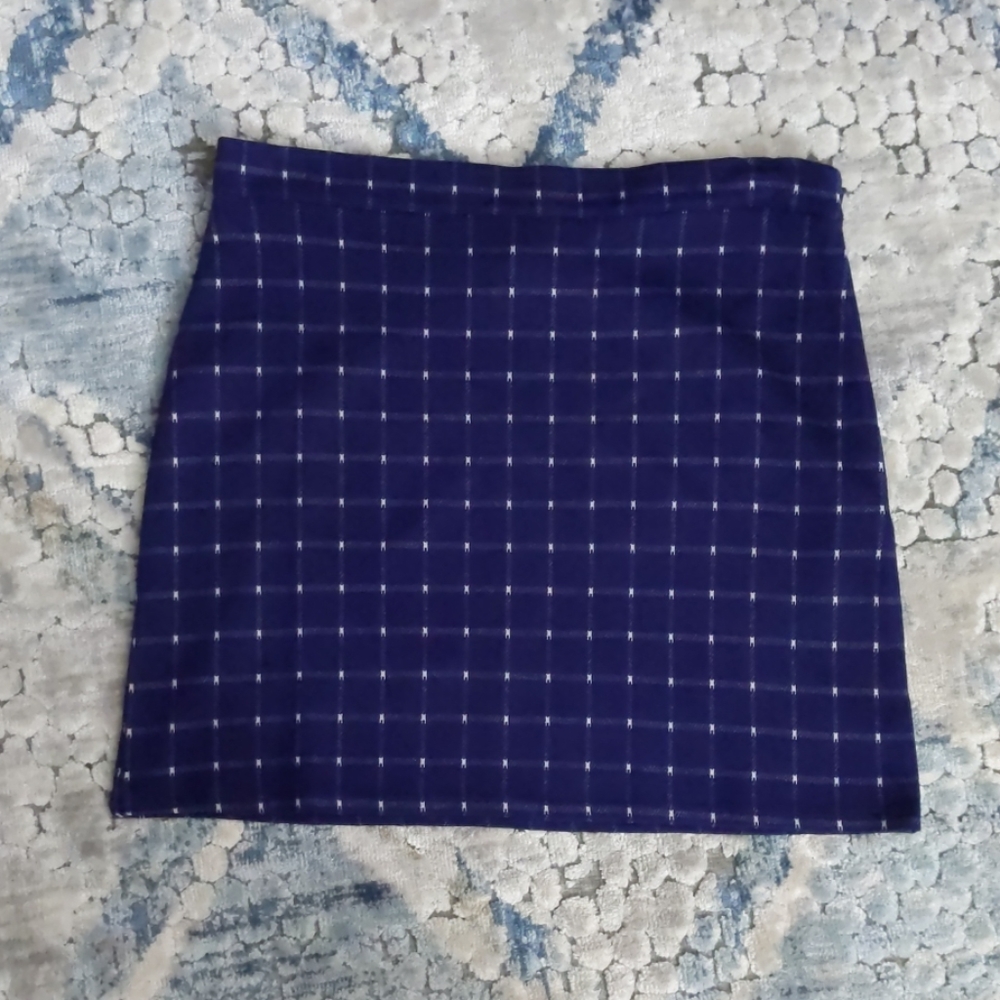 Blue and White Checkered Skirt